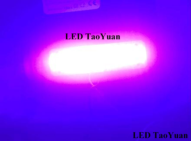 UV LED Lamp 415nm 100W
